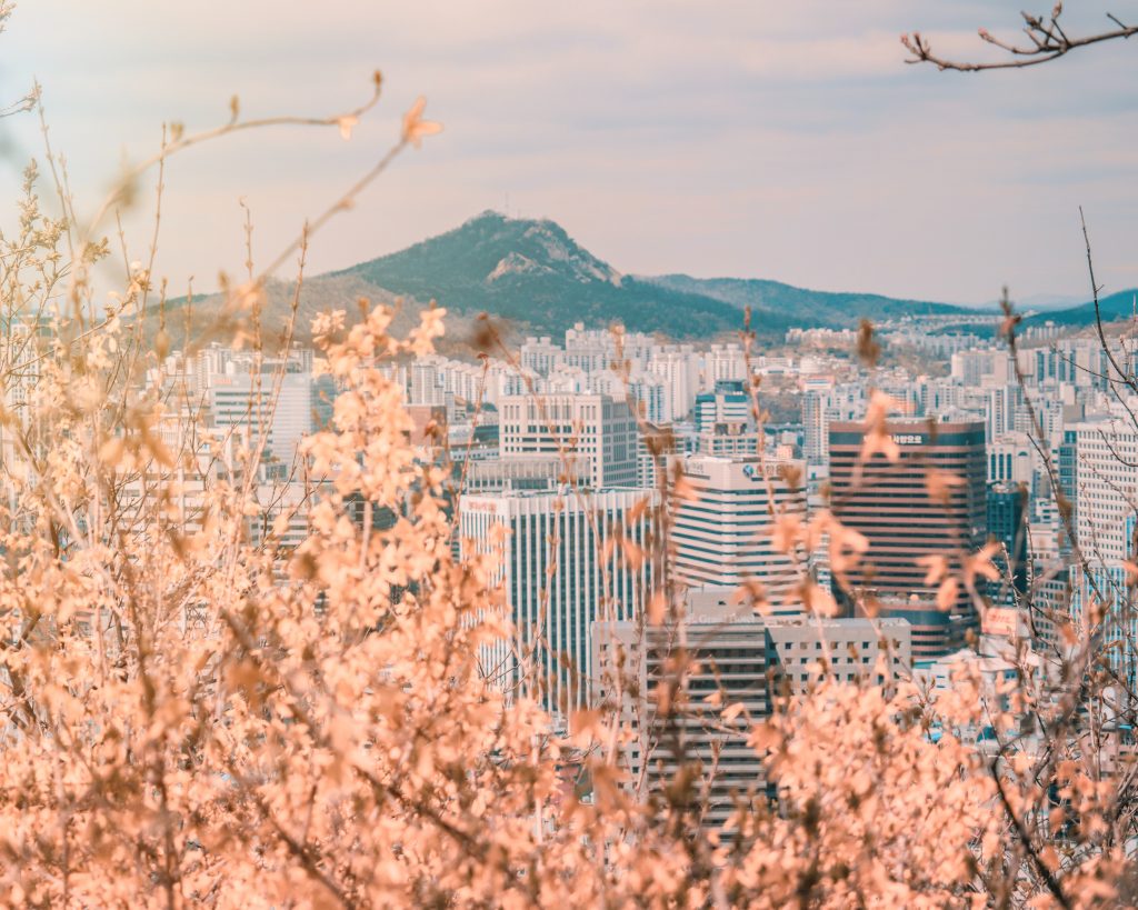 teaching-english-in-gwangju-city-south-korea